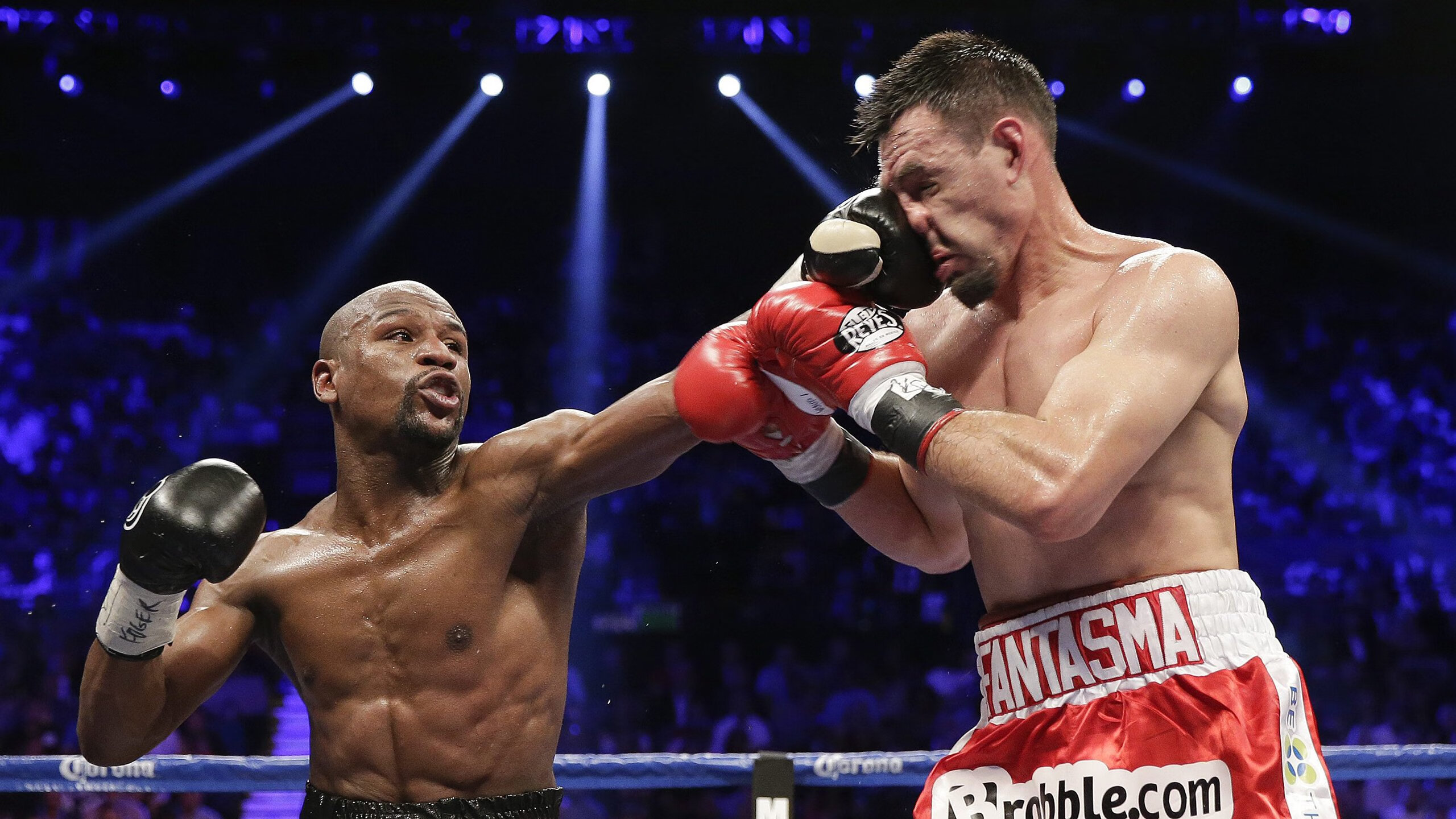 年轻天才的崛起：未来之星的背后故事，未来之星后半句